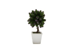 BONSAI FLORES PURPURA