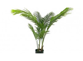 PlantaPALMERA 140CM